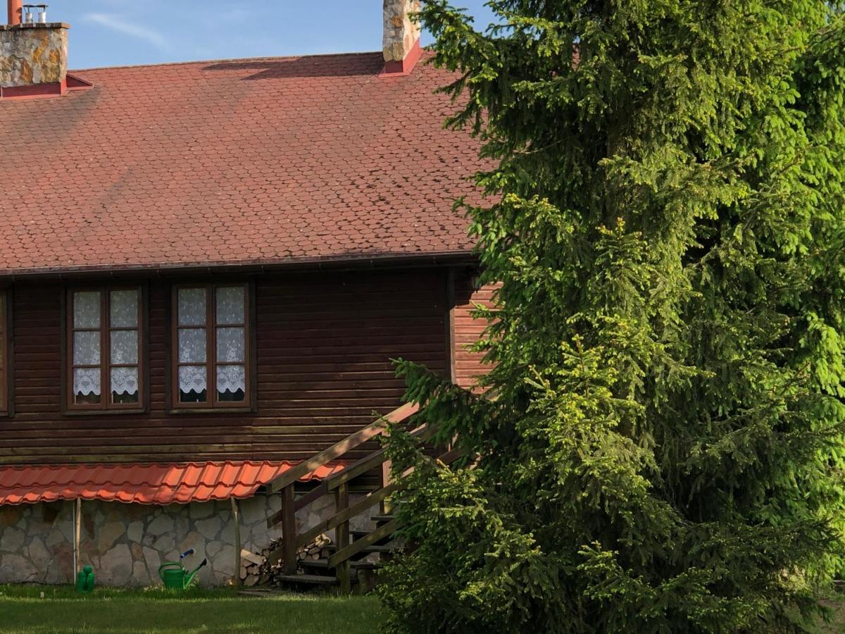 Domki Carmen Wierzchownia Exteriör bild